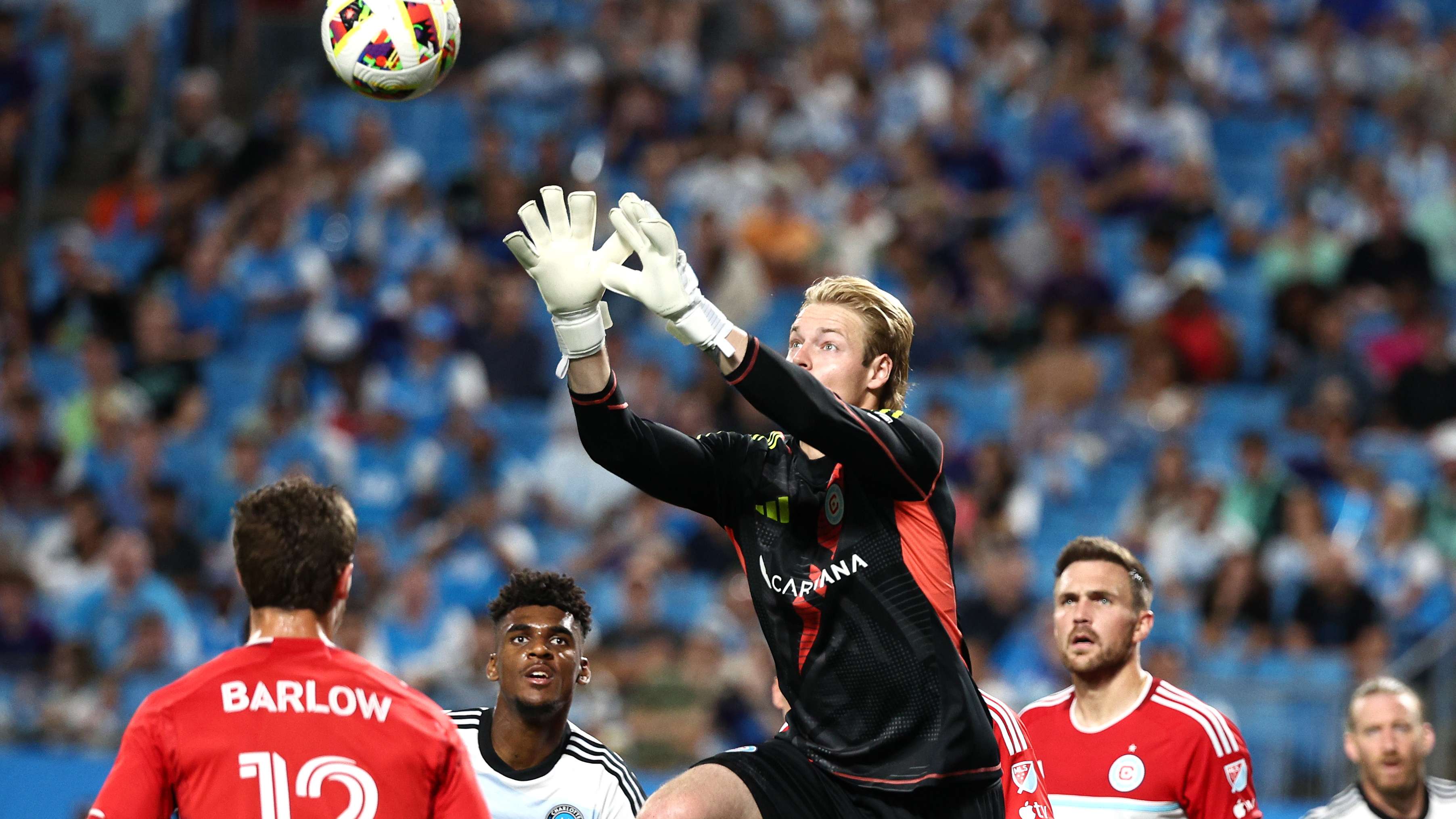 这样不仅能 这样不仅能