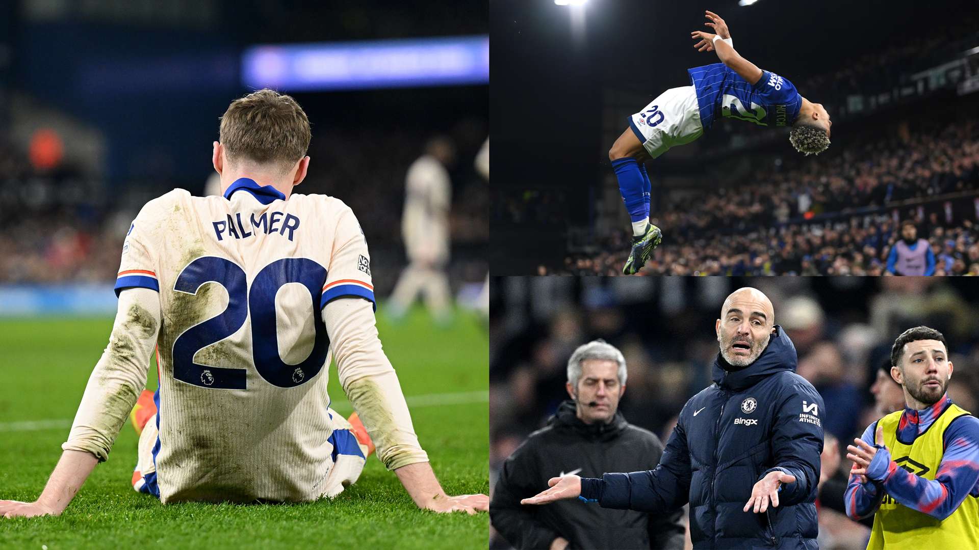 官方的直播 官方的直播